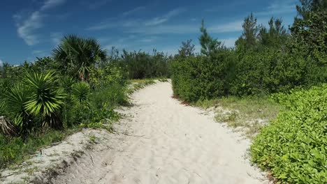 Beach-like-trails-that-connects-to-Bermuda-South-Shore-beaches