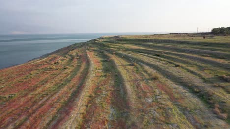 Aerial-forward-pass-over-the-flourish-green-and-red-desert-of-the-Dead-Sea,-people-sit-in-nature,-sunny-day,-drone-shot-Israel