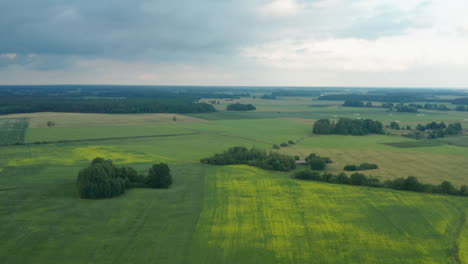Spectacular-landscape-flight-above-green-expansive-flat-plains-and-farmland-in-rural-countryside-on-cloudy-sky-day,-Latvia,-overhead-aerial-approach