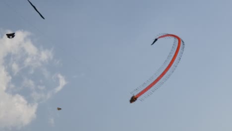 kite-competition-on-the-sky