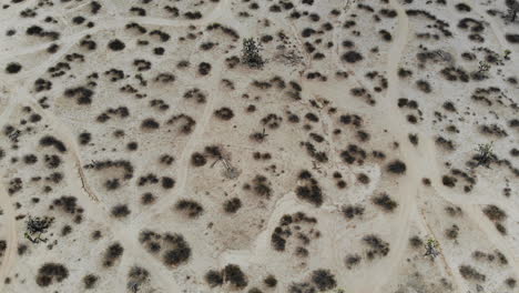 Looking-down-on-an-empty-desert-filled-with-sand-and-brush-between-an-intertwined-path-system