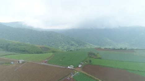 Szenische-Drohnenaufnahmen-Von-Kohlplantagen-Mit-Nebligem-Wetter-Im-Hintergrund