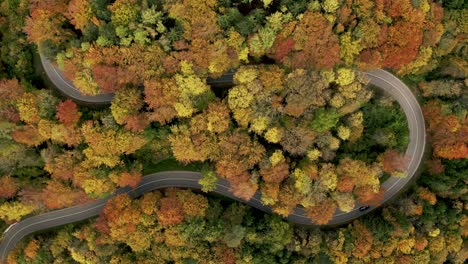 Panning-drone-look-up-shot-from-the-colors-of-a-bavarian-forest-in-autumn-time-up-to-a-little-town