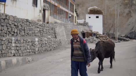 Ein-Alter-Tibetischer-Dorfbewohner-Und-Sein-Vieh-Im-Dorf-Key-In-Der-Nähe-Von-Spiti