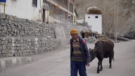 Un-Viejo-Aldeano-Tibetano-Y-Su-Ganado-En-Un-Pueblo-Clave-Cerca-De-Spiti