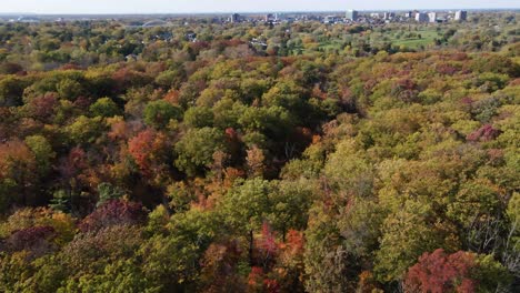 Slow-dolly-over-forest-in-fall-colors.-Aerial