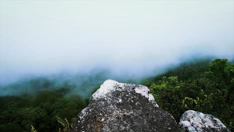 Dunkle-Und-Stimmungsvolle-Landschaft-Aus-Dichtem-Nebel,-Der-Sich-über-Den-Amazonas-Regenwald-Bewegt