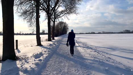 Vista-Trasera-De-Una-Mujer-Caminando-Por-Una-Carretera-Cubierta-De-Nieve-Y-Hielo-En-Un-Día-Soleado-De-Invierno---Toma-Amplia