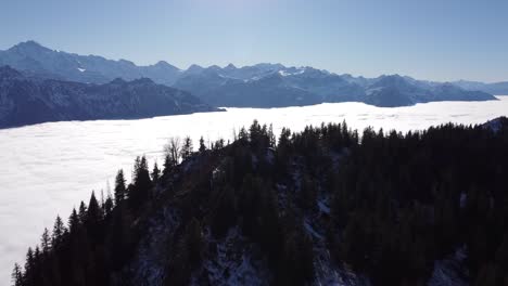 The-drone-flies-just-above-the-trees-towards-a-thick-blanket-of-fog,-in-front-of-the-unique-background-of-the-snow-covered-swiss-alps-in-sunny,-beautiful-weather