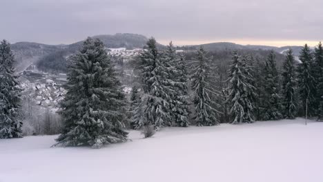 Winter-unveiling-shot-starting-the-drone-behint-snow-covered-trees-flying-up-to-discover-a-white-dreamy-winter-landscaped-city-with-hills-in-the-background