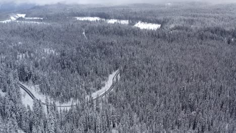 Aerial-of-a-snowy-forest,-looking-down-on-an-ice-covered-road