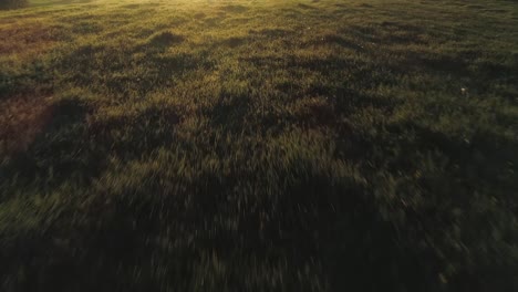 Low-aerial-above-grass-field-with-dreamy-golden-sunshine