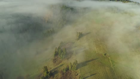 Clearings-and-woodlands-shrouded-in-fog.-Aerial-backward