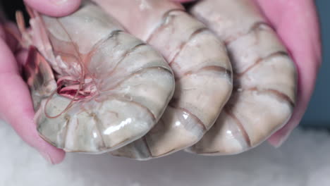 Image-Of-Hands-Holding-Frozen-Shrimps-From-Seafood-Market