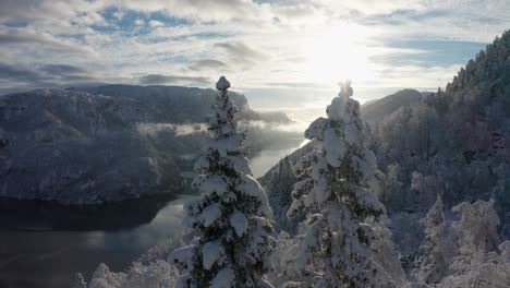 Glitzernder-Schnee-Frost-Kiefernwald-Norwegen-Europa-Geiranger-Antenne