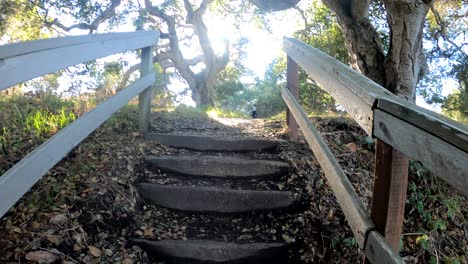 POV-walking-up-the-stairs-that-lead-to-a-calming-nature-trail-surrounded-by-trees-and-sunlight