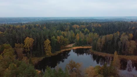 Vista-Aérea-Del-Bosque-De-Copas-De-árboles-De-Coníferas-De-Pino-Verde-Y-Abeto-Y-El-Lago-Kalnmuiza-En-Letonia