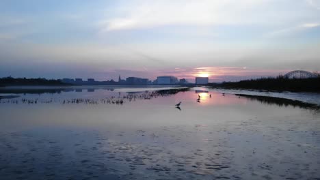 Zugvögel-Ziehen-über-Seichtes-Wasser-Am-Ufer-Mit-Wunderschönem-Sonnenuntergang-Und-Skyline-Hintergrund---Weitschuss
