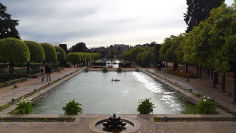 People-walking-inside-gardens-of-Alcazar-in-Cordoba-next-to-water-fountain