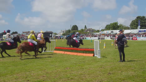 Royal-Cornwall-Show-2022-Mit-Shetland-Ponys,-Die-Beim-Großen-Nationalen-Debüt-Rennen-Fahren-Und-über-Hürden-Springen