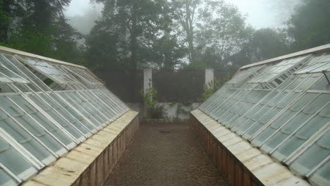 Greenhouses-With-Opened-Windows-Covered-with-Thick-Mist-in-Pena-Garden-Park