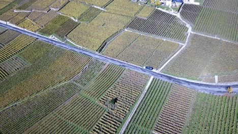 top-aerial-view-of-a-road-in-Lavaux-vineyards-during-autumn,-vaud,-switzerland