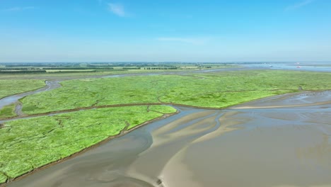 Aerial-shot-of-mudflats-and-green-wetlands-with-grass,-bushes-and-small-rivers-leading-into-the-sea