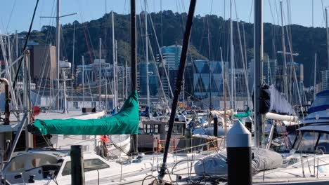 Sail-boat-masts-moored-in-marina-of-capital-and-waterfront-office-block-buildings-of-Wellington,-New-Zealand-Aotearoa