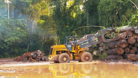 Sacando-Troncos-Cosechados-De-La-Selva-Amazónica-De-Una-Pila-Con-Un-Tractor-Cargador