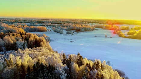 4k-Aerial-shot-of-winter-landscape-scene-with-trees-and-snowy-field-at-sunset