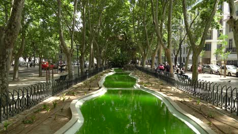 Grünes-Wasserbecken-Mitten-In-Der-Avenida-Da-Liberdade-In-Lissabon
