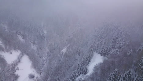 Winter-wonderland-seen-from-above-while-flying-drone-over-a-valley-covered-by-fog,-having-beautiful-trees-covered-by-snow-on-both-sides
