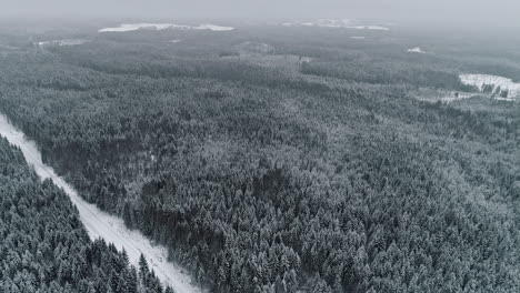 Breath-taking-aerial-shot-of-dark-forest-in-winter