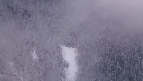 Drone-Elevándose-Por-Encima-De-Las-Nubes-Con-árboles-Cubiertos-De-Nieve-Debajo-De-Ellos