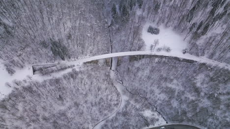 [Luftaufnahme]-Drohne,-Die-Rückwärts-Und-Aufwärts-Fliegt-Und-Die-Schönheit-Eines-Alten-Viadukts-In-Der-Landschaft-Rumäniens-Zeigt