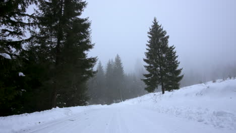 Viento-Que-Sopla-árboles-Durante-El-Día-De-Invierno-Nevado