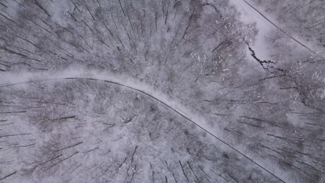 [Aerial-shot]-Drone-flying-above-a-small-road-that-separates-the-forest-covered-by-snow