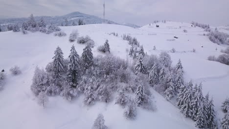 [Luftaufnahmen]-Malerische-Landschaft-Mit-Von-Schnee-Umgebenen-Bäumen
