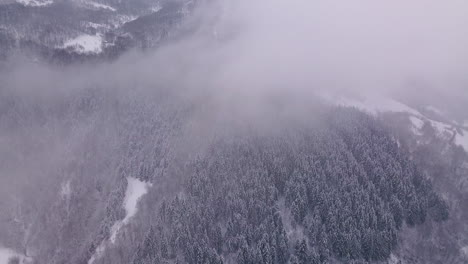 Drone-flying-straight-to-the-clouds,-above-the-beautiful-landscape-showing-a-forest-covered-by-snow-in-winter