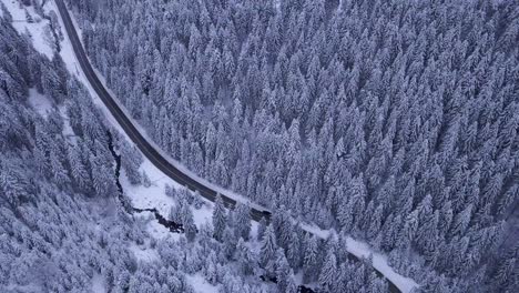 Winter-Forest-and-Road