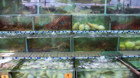 Chinesischer-Fischmarkt,-Pflücken-Und-Kochen-Sie-Aus-Einer-Vielzahl-Von-Großen-Aquarien-In-Einem-Fischrestaurant-Im-Freien