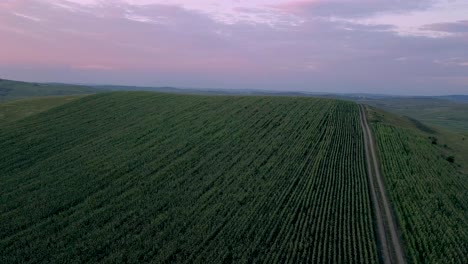 Slow-aerial-footage-above-farm-fields-before-sunset