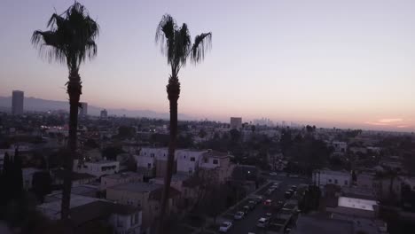 Los-Angeles,-CA-city-sunrise-palm-trees