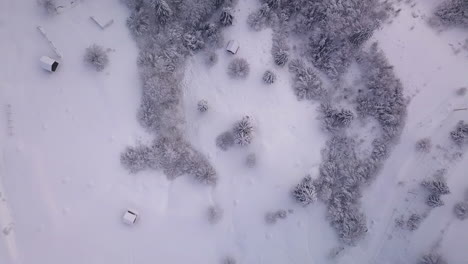 [Aerial-shot]-Drone-flying-down-to-few-small-forest-cabins-surrounded-by-trees-and-lots-of-snow-in-the-countryside-of-Transylvania,-Romania