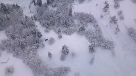 [Aerial-shot]-Scenic-landscape-showing-a-small-forest-cabin-surrounded-by-a-few-trees-and-lots-of-snow-during-winter-morning-in-the-countryside-of-Romania