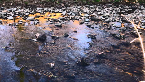water-stream-with-pebbles-in-the-forest