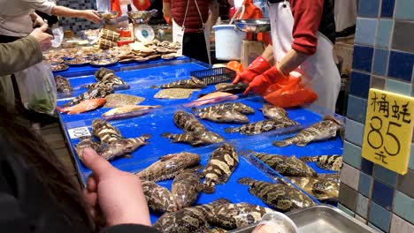Hong-Kong-fish-wet-market,-selling-seafood-fish,-crab-and-clam,-the-day-before-Chinese-New-Year,-3-Feb-2019