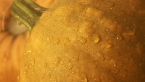 close-up-of-water-droplets-on-a-fresh-pumpkin