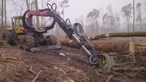 Shot-of-a-tree-excavator-in-the-middle-of-a-destroyed-forest