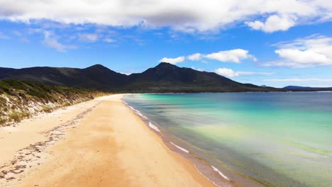 Slow-aerial-tilt-down-over-golden-Tasmanian-beach-and-clear-turquoise-ocean